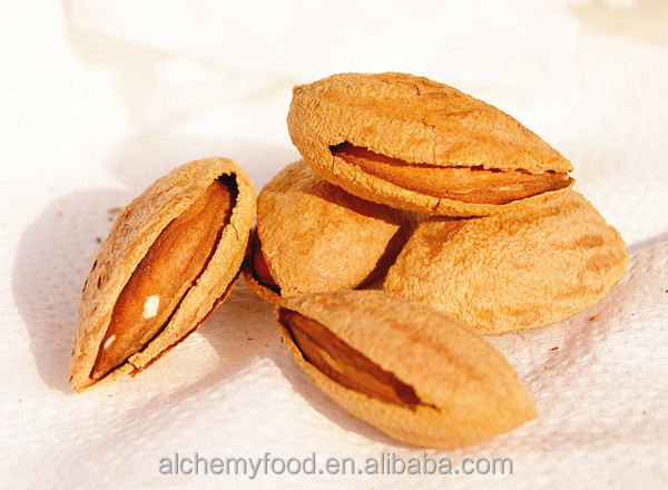 Chinese almonds in shell /all kinds of almonds /bulk almonds