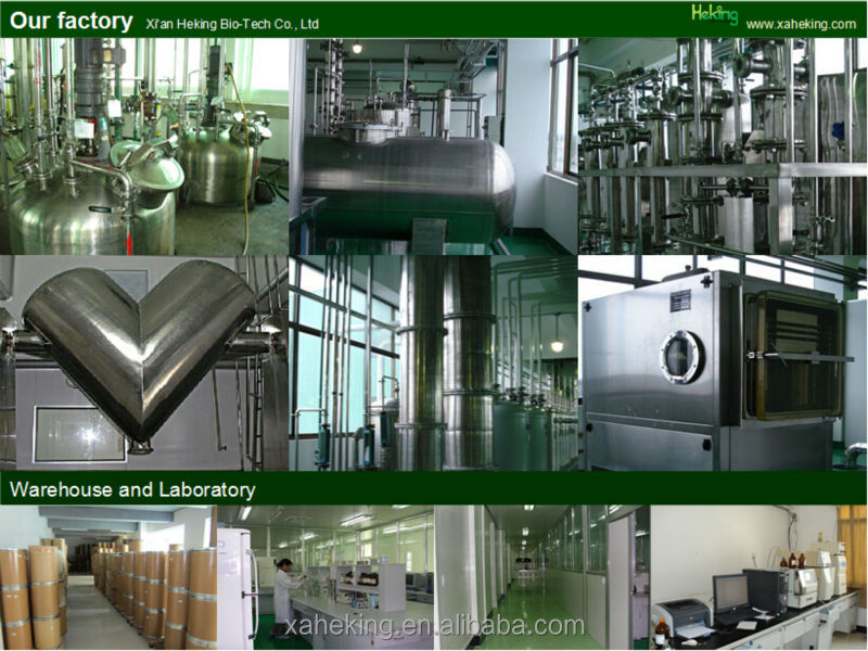 green coffee bean extract supplier