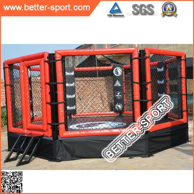 fighting-mma-cage