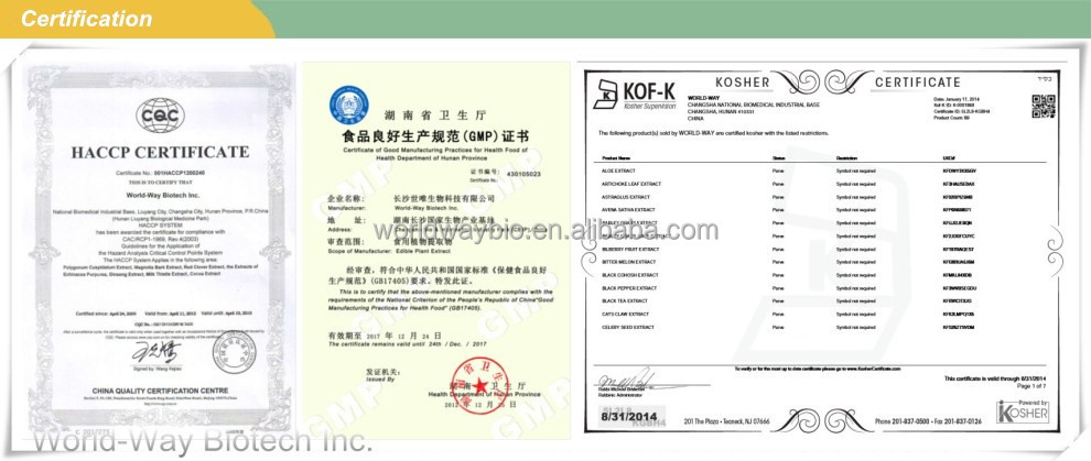 GMP factory making high quality 98% polyphenols organic green tea extract powder