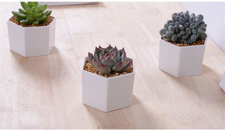 Windowsill adornment hexagon white ceramic indoor pots for succulent