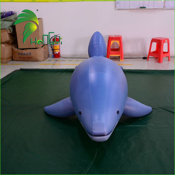 inflatable dolphin (2)