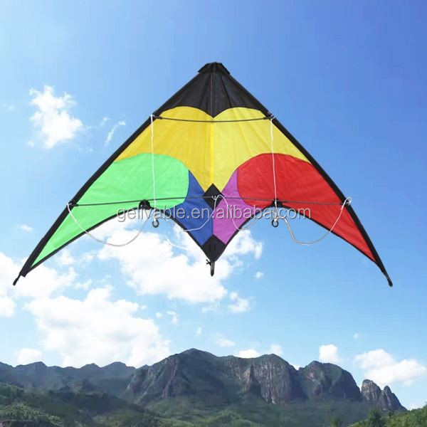 Dual Line 1.2m Small delta sports kites from the kite factory (1).jpg