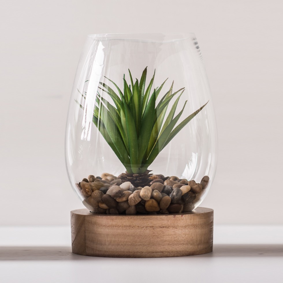 Wholesale Indoor Plant Oval Clear Glass Vase Terrarium With Wooden