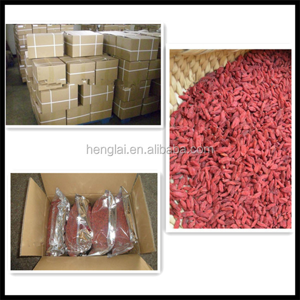 china goji berries/fresh dried goji berry/medlar