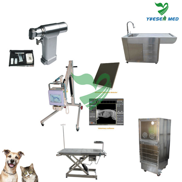 Top Sale Top Quality Low Price Medical Equipment For Veterinary Buy