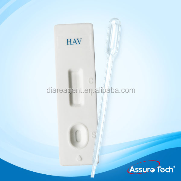 HAV-3.jpg
