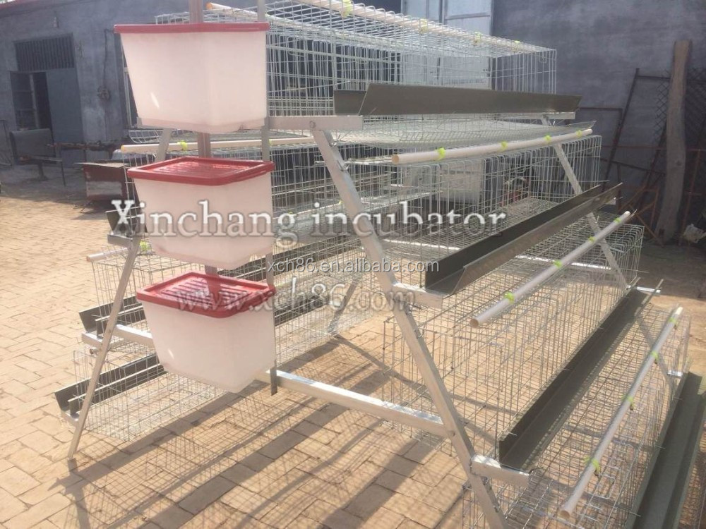 4 layers 128 chickens cage 2.jpg