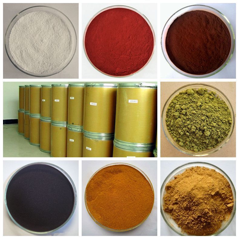 red wine powder extract with best price