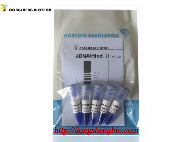 M1202 Lambda DNA Hind III