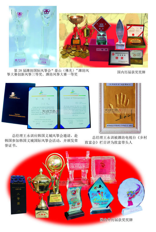 凧、 繁体字中国語凧2014年販売のための、 伝統的なたこ手工芸品問屋・仕入れ・卸・卸売り