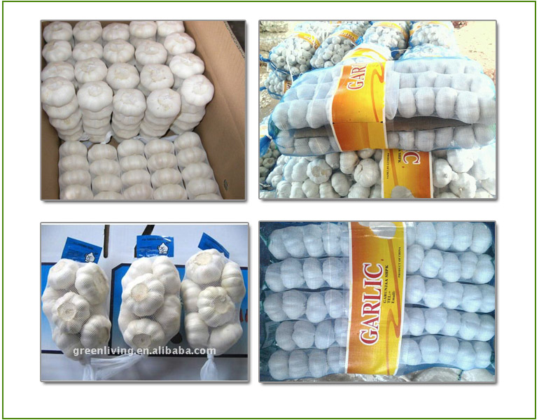 The Most Fresh Garlic From Jinxiang China (Low Price)