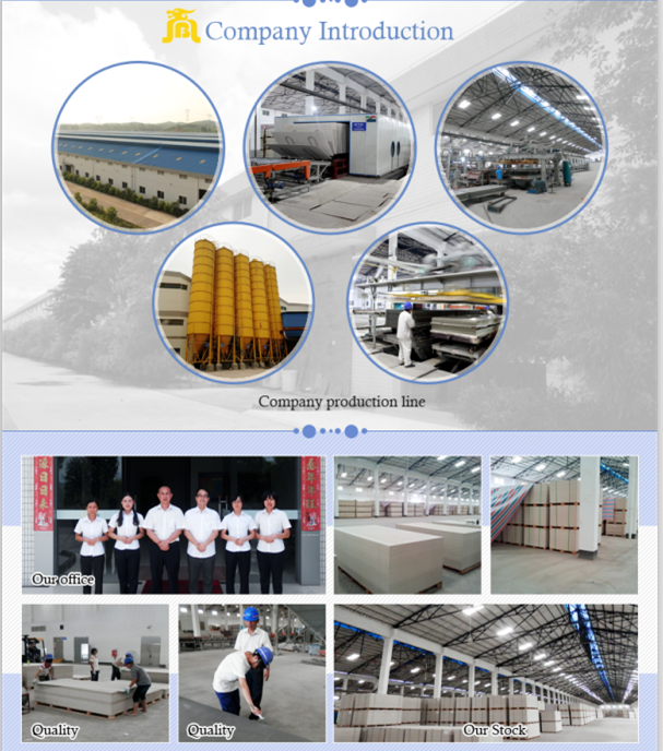 company introduction.png
