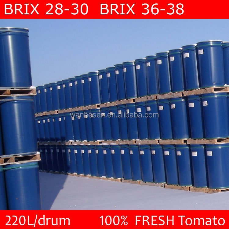 Fresh Tomato paste in can 28-30% 400g*24