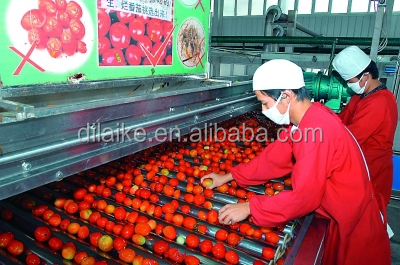 2014 tin tomato paste