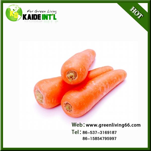 Special Organic Bulk Carrots