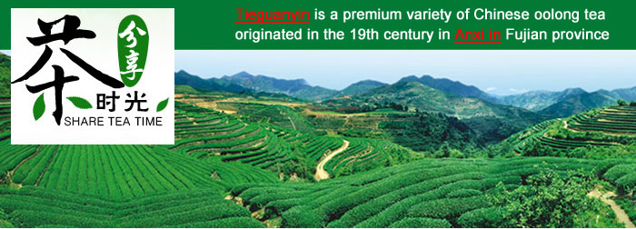 Tea china Fujian Tie Kuan Yin An Xi Tie Guan Yin Oolong Tea