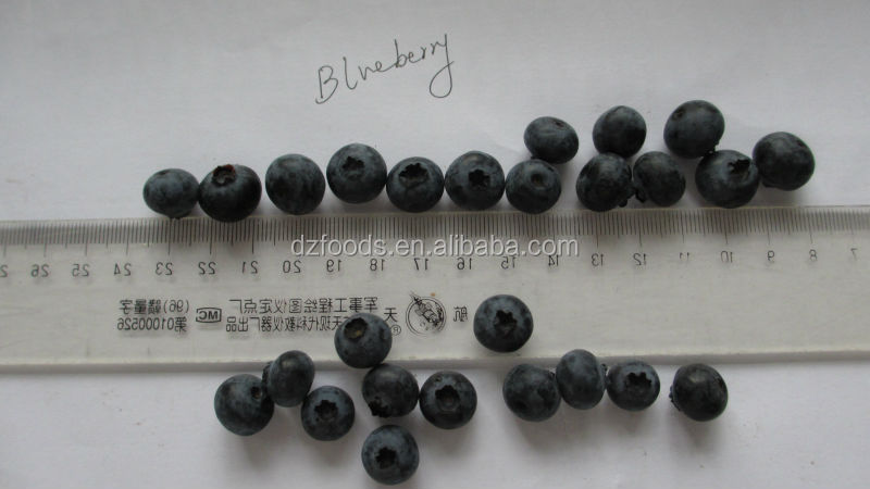 blueberry sorting machine
