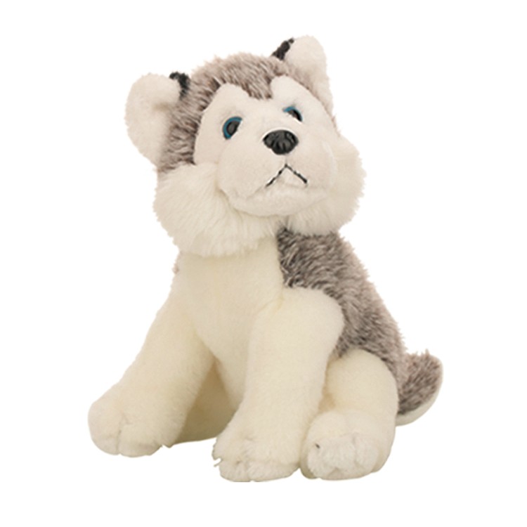 teddy lucky dog toy