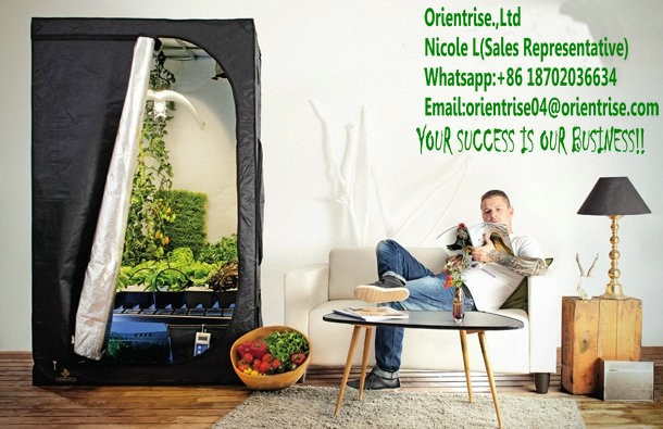 green-zone