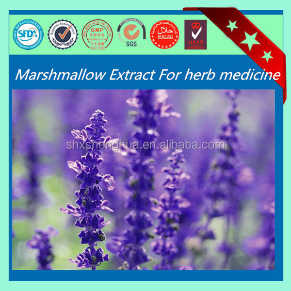 BV certificated marshmallow bulk high quality Marshmallow Leaf Herb Plant