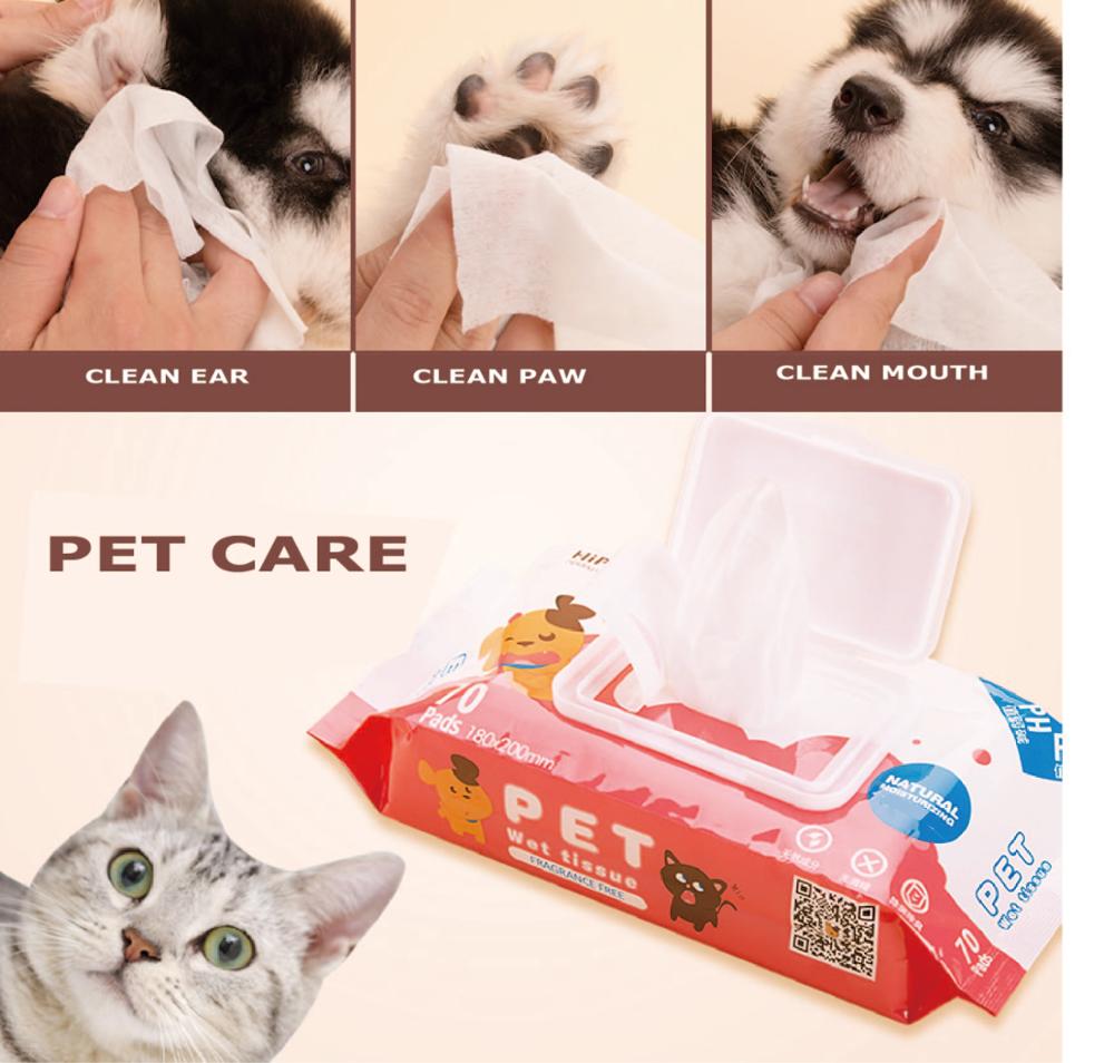 25 Sheets Pack Handy Antibacterial Wipes For Dogs Buy 25 Sheets Pack