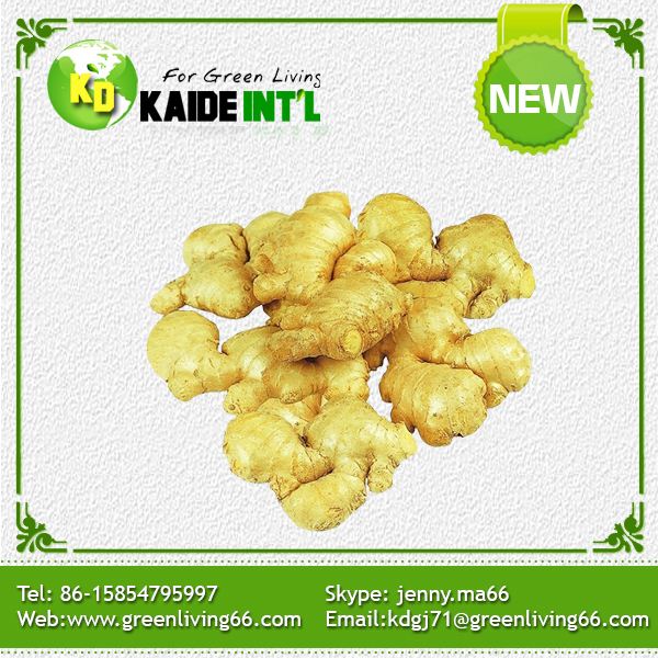 Fresh Ginger Packed In Pvc Box Carton