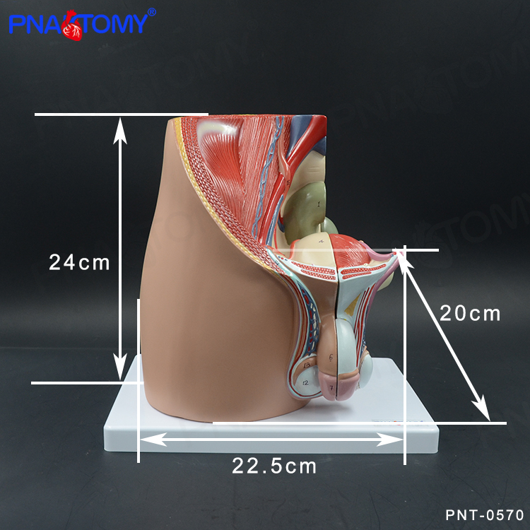 PNT-057002