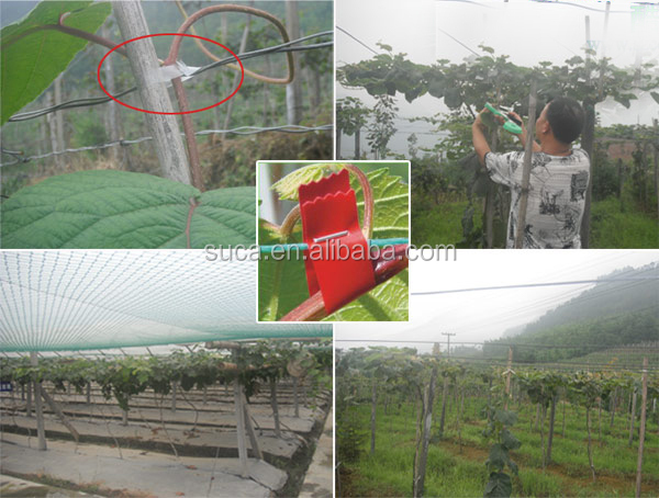 Tapetoolsucaflower|vine抱き合わせツールのための農業問屋・仕入れ・卸・卸売り