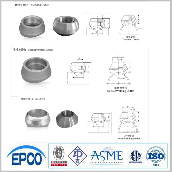 Steel Olet/threadolet/weldolet/sockolet 3000 Buy Steel