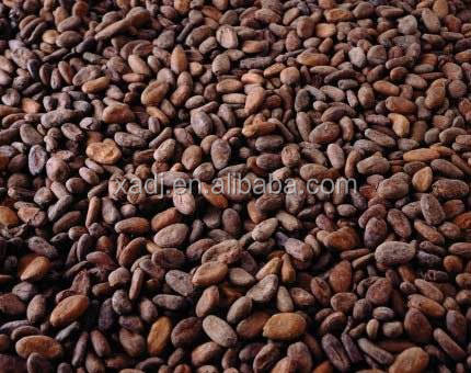 Cocoa seed extract powder natural cocoa extract cocoa seed extract theobromine