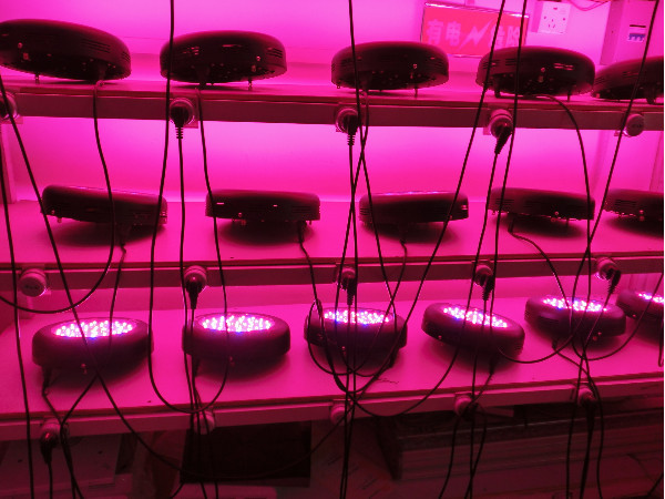 フルスペクトルled植物は、 ランプを育てる60*3wハイパワーled温室用のライトを成長させる仕入れ・メーカー・工場