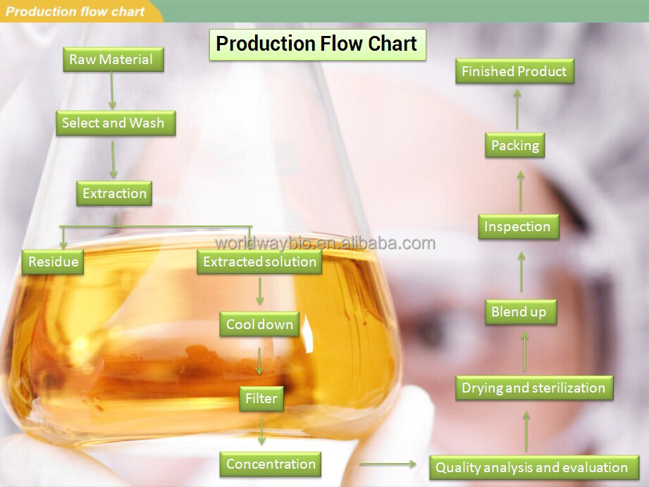 Free testing sample KOSHER HACCP GMP certify manufacturer supply food grade piperine black pepper extract piper nigrum l