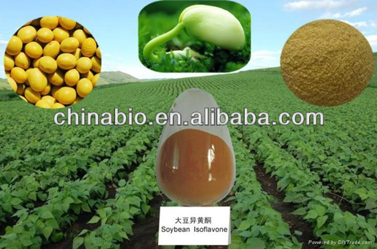 100% Natural Soybean Extract with 20%/40% Isoflavones HPLC from GMP Factory
