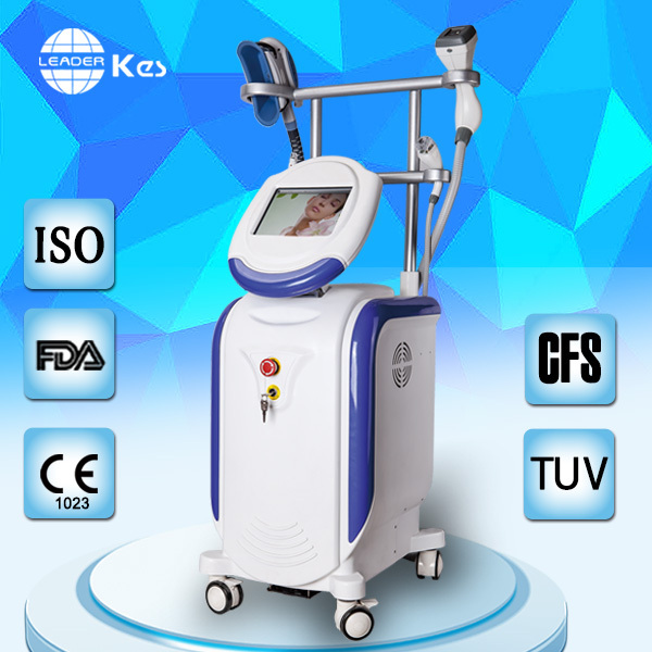 Belly fat removal cost