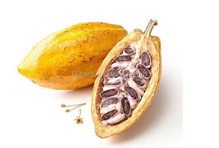 ISO Certificated factory supply best price food grade cocoa powder