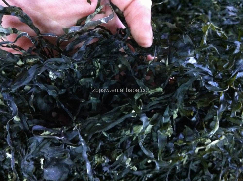 machine dried kelp cut2