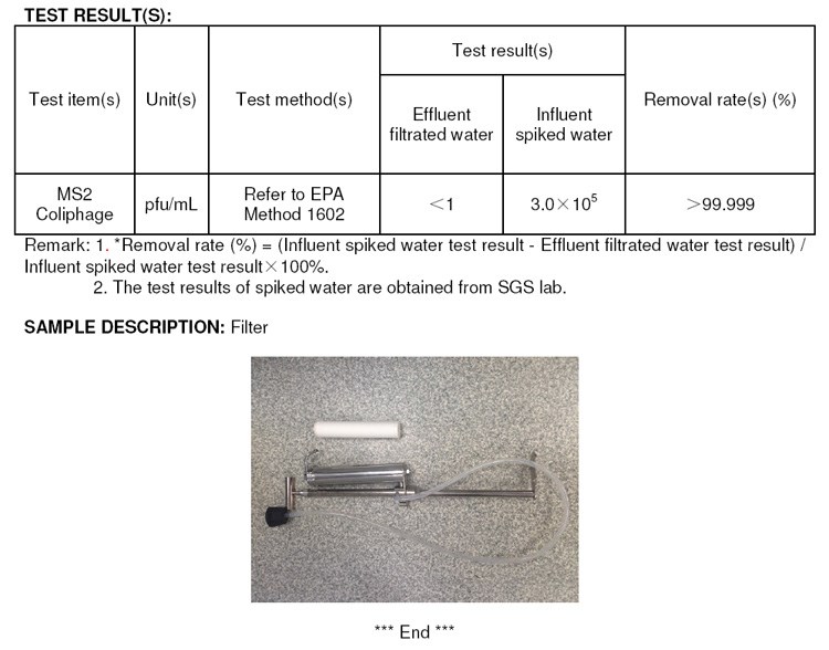 sgs report 2A