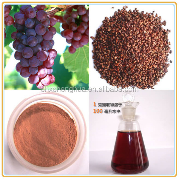 2014 GMP factory organic grape seed extract volcanic powder
