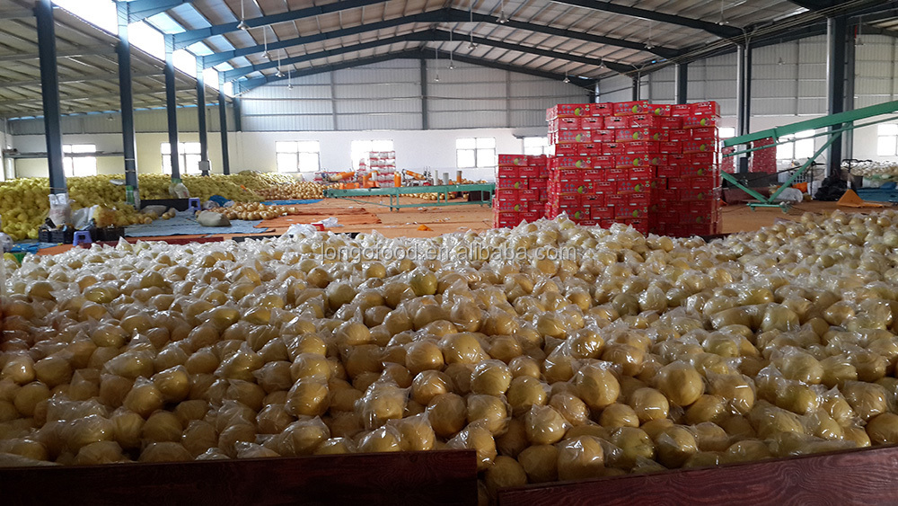 Fresh honey pomelo