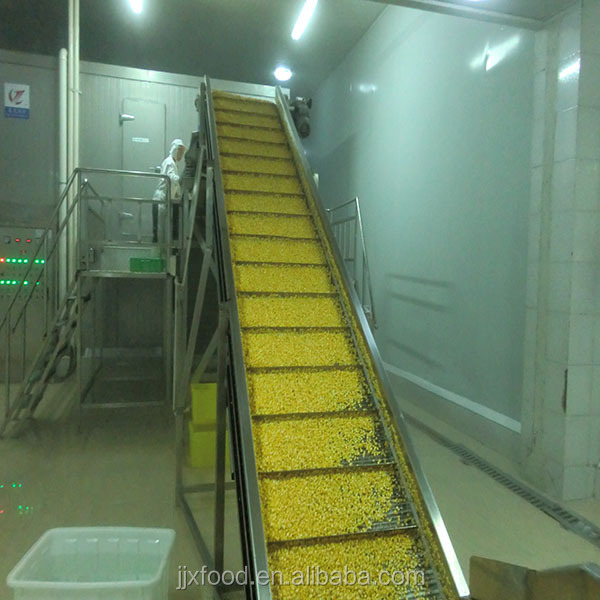 importers frozen vegetables cauliflower from Chinese supplier