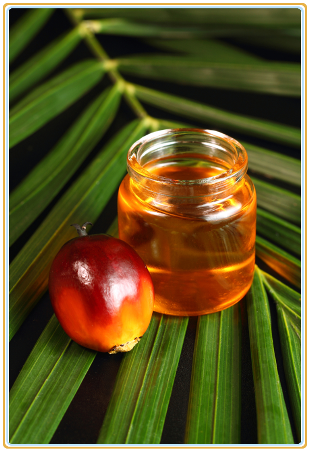 palm oil_.png