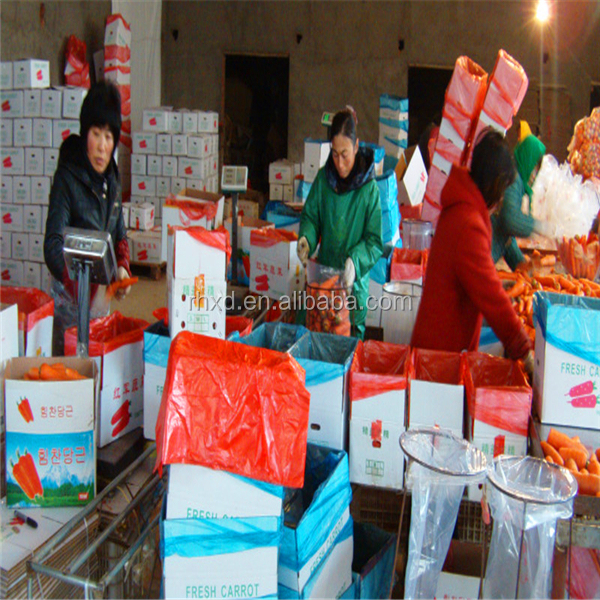 2014 New Crop freezing fresh carrots
