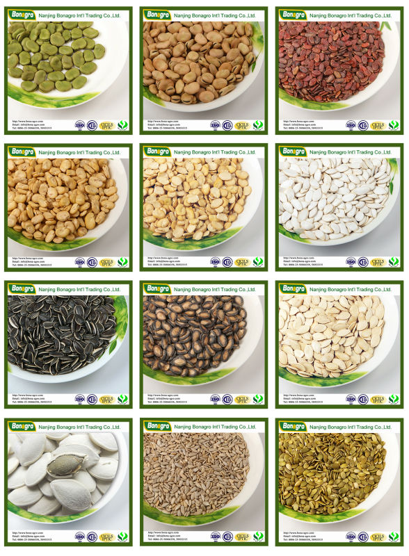 LIGHT SPECKLED KIDNEY BEAN 2014 NEW PRODUCTS CHINA SUPPLIER