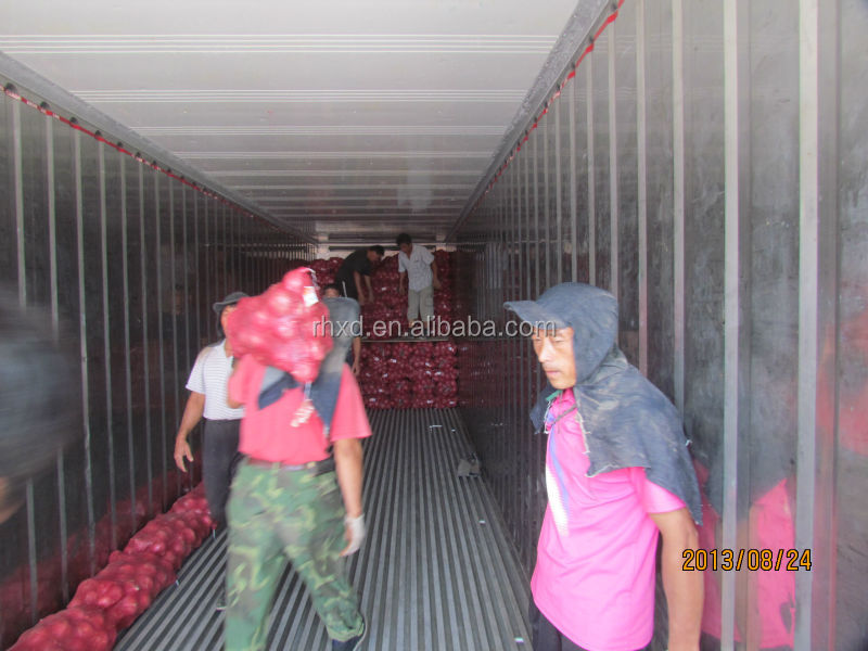 fresh onion 2014 new crop onion with lowest price