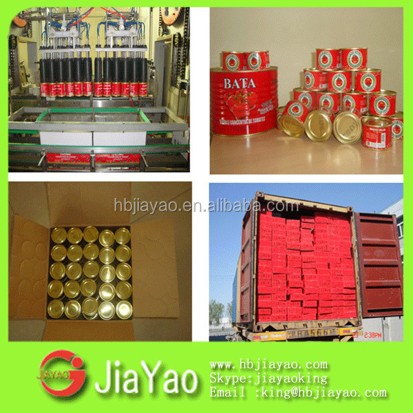 canned tomato paste of brix 28-30% with 70g/198g/400g/800g/2.2kg/3KG/4.5KG