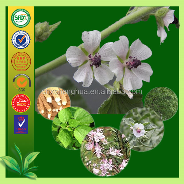 BV certificated marshmallow bulk high quality Marshmallow Leaf Herb Plant