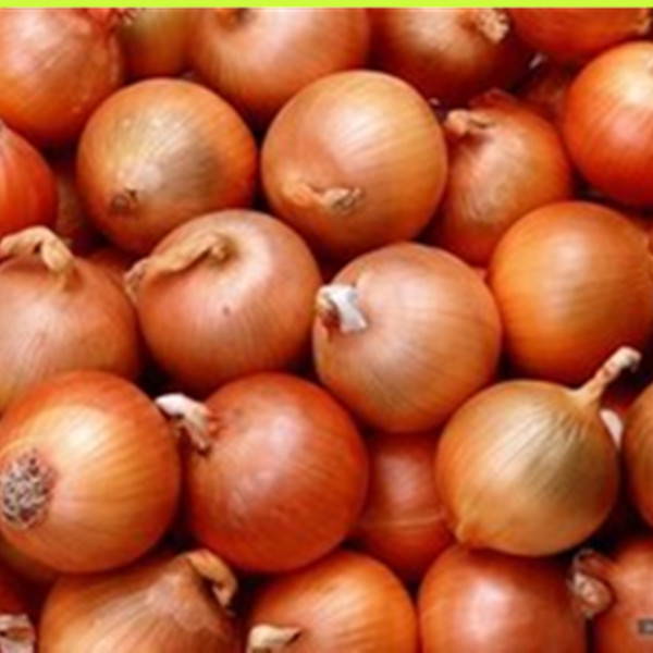 Fresh Onion, Fresh Vegetables,bulk onion good quality from China