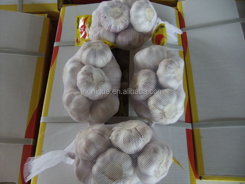 Small net mesh bags wholesale natural garlic direct suppliers from China