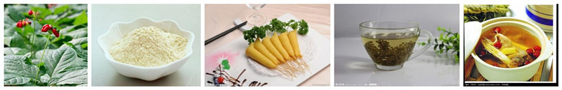 Ginseng Extract/stem and leaf extract 2014/ginseng powder